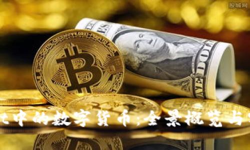 TPWallet中的数字货币：全景概览与实用指南