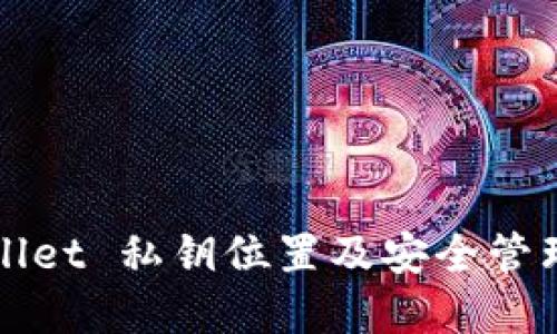 TPWallet 私钥位置及安全管理详解