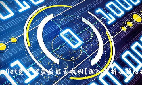tpwallet资产被盗后能否找回？深入解析及预防措施