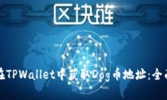 如何在TPWallet中获取Dog币地址：全面指南