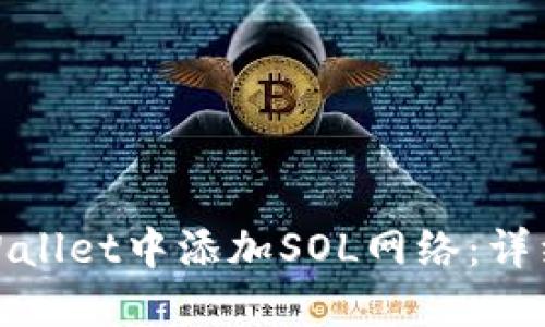 : 如何在TPWallet中添加SOL网络：详细步骤与技巧