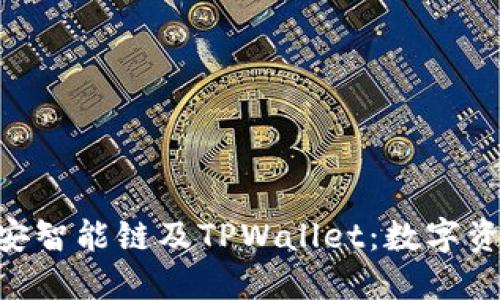 深入了解BSC币安智能链及TPWallet：数字资产管理的新选择