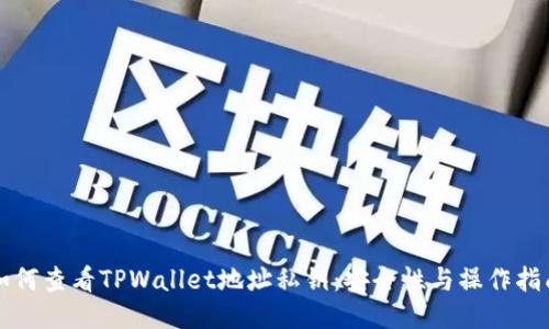 如何查看TPWallet地址私钥：安全性与操作指南