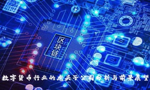 数字货币行业的龙头子公司分析与前景展望