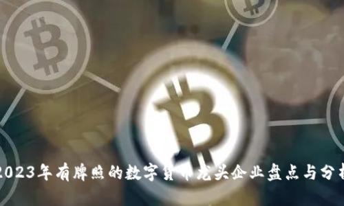 2023年有牌照的数字货币龙头企业盘点与分析
