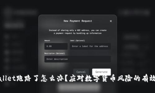 TPWallet跑路了怎么办？应对数字货币风险的有效策略