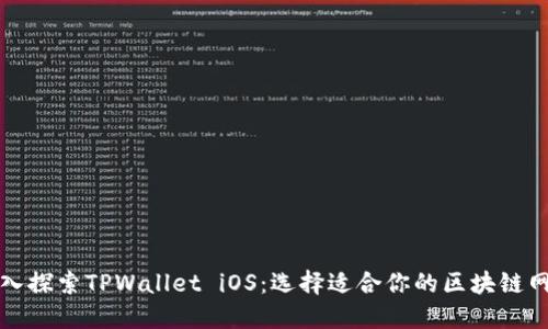 深入探索TPWallet iOS：选择适合你的区块链网络
