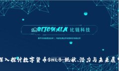 深入探讨数字货币SHLB：现状、潜力与未来展望
