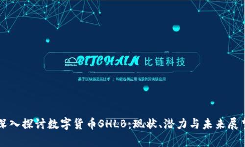 深入探讨数字货币SHLB：现状、潜力与未来展望