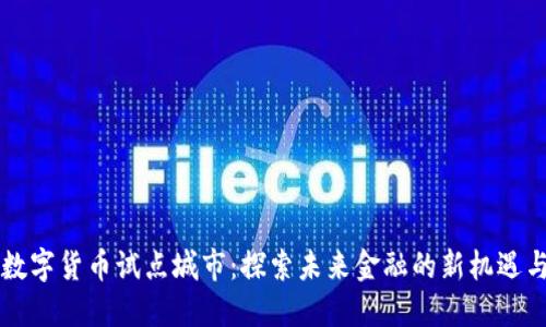 成都数字货币试点城市：探索未来金融的新机遇与挑战