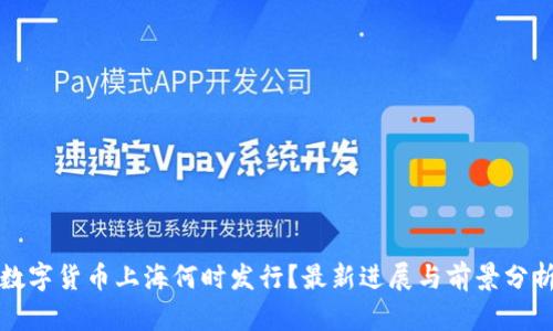 数字货币上海何时发行？最新进展与前景分析
