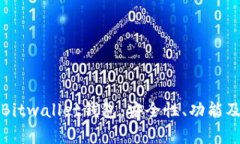 全面解析Bitwallet钱包：安全性、功能及使用指南