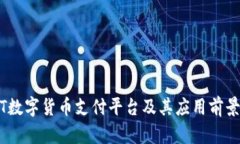 USDT数字货币支付平台及其应用前景分析