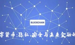私人数字货币：隐私、安全与未来金融的交汇点