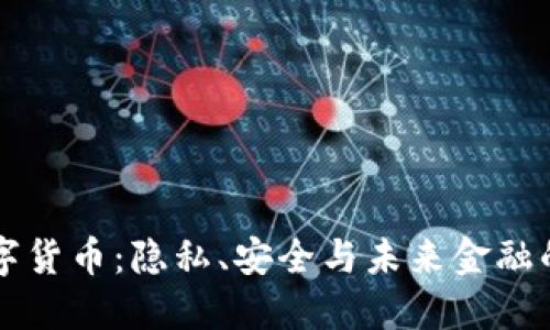 私人数字货币：隐私、安全与未来金融的交汇点