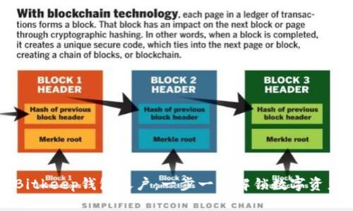 详解如何创建Bitkeep钱包账户：一步一步解锁数字资产管理的新方式