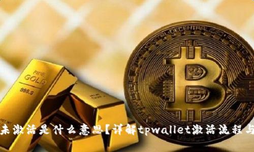 tpwallet未激活是什么意思？详解tpwallet激活流程与常见问题