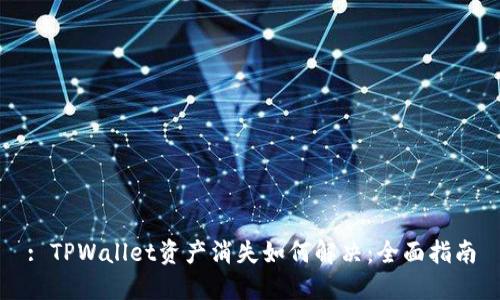 : TPWallet资产消失如何解决：全面指南
