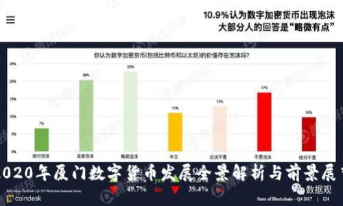 2020年厦门数字货币发展全景解析与前景展望