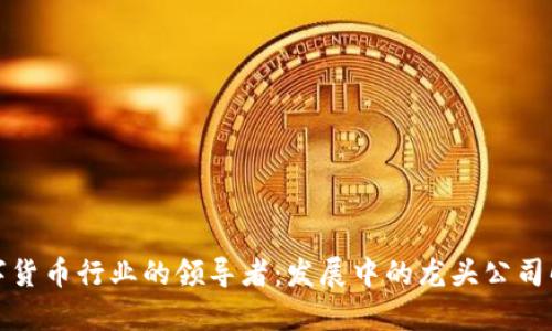 数字货币行业的领导者：发展中的龙头公司解析