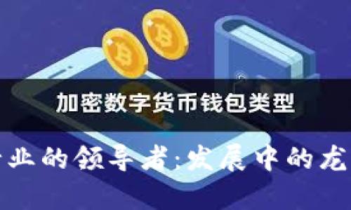 数字货币行业的领导者：发展中的龙头公司解析