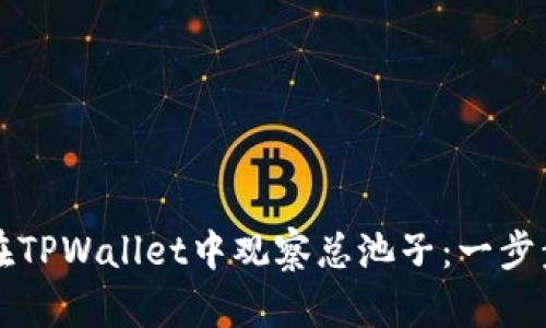 如何在TPWallet中观察总池子：一步步指导