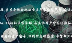   如何在大陆地区使用TPWallet：完整指南 /  guanj
