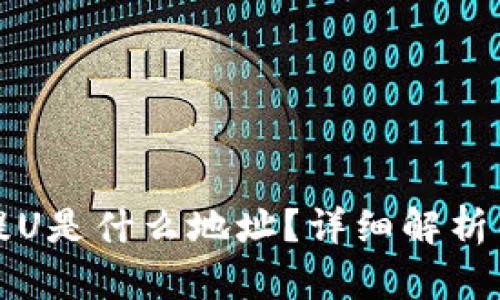 tpwallet提U是什么地址？详细解析与使用指南
