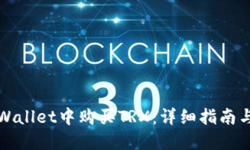 如何在TPWallet中购买TRX：详细指南与实用技巧