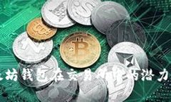 以太坊钱包在交易所中的潜力分析
