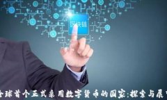 全球首个正式采用数字货币的国家：探索与展望