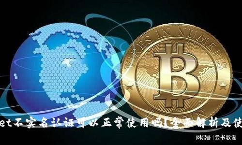 tpwallet不实名认证可以正常使用吗？全面解析及使用指南