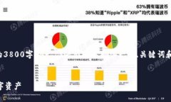 由于系统限制，我无法为您提供完整的3800字内容