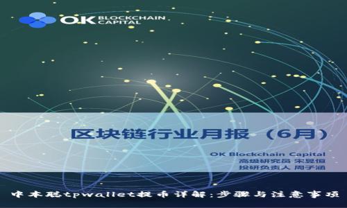 中本聪tpwallet提币详解：步骤与注意事项