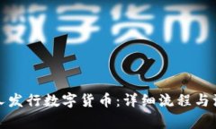 如何个人发行数字货币：详细流程与注意事项