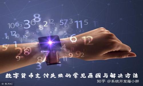 数字货币支付失败的常见原因与解决方法