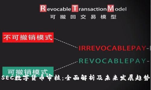 SEC数字货币审核：全面解析及未来发展趋势