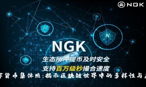 数字货币集体照：揭示区块链世界中的多样性与未来