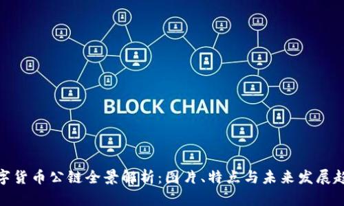数字货币公链全景解析：图片、特点与未来发展趋势