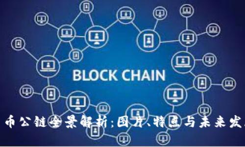 数字货币公链全景解析：图片、特点与未来发展趋势