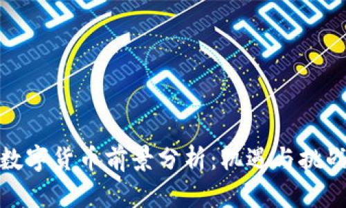 数字货币前景分析：机遇与挑战