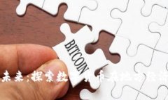 单县数字货币的未来：探索数字货币在地方经济
