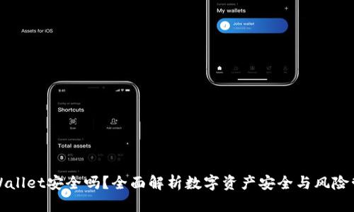 TPWallet安全吗？全面解析数字资产安全与风险管理
