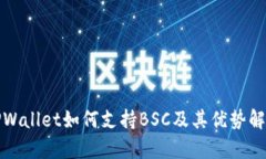 TPWallet如何支持BSC及其优势解析