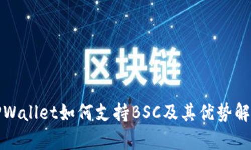 TPWallet如何支持BSC及其优势解析