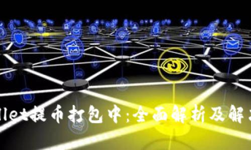 TPWallet提币打包中：全面解析及解决方案