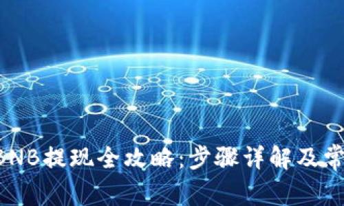 TPWallet BNB提现全攻略：步骤详解及常见问题解答