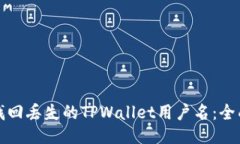 如何找回丢失的TPWallet用户名：全面指南