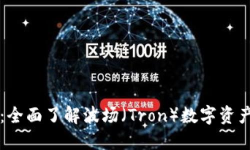 TPWallet：全面了解波场（Tron）数字资产管理工具