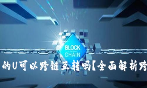 TPWallet里的U可以跨链互转吗？全面解析跨链转账功能